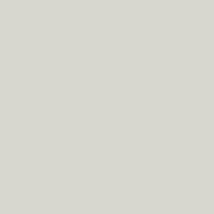 Wall Paint Sunny Grey 01