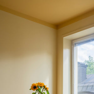 Wall Paint Lejonkulan 03
